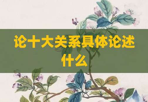 论十大关系具体论述什么
