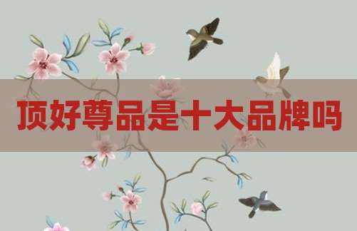顶好尊品是十大品牌吗