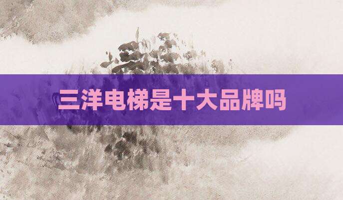 三洋电梯是十大品牌吗