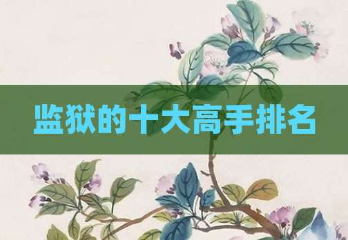 监狱的十大高手排名