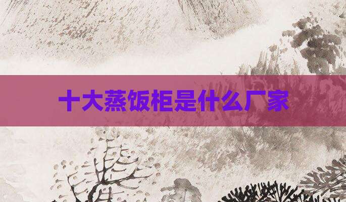 十大蒸饭柜是什么厂家