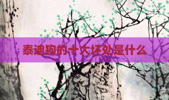 泰迪狗的十大坏处是什么