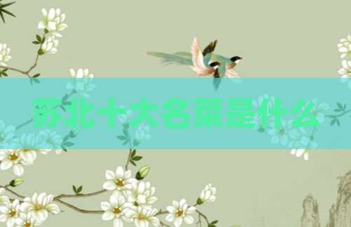 苏北十大名菜是什么