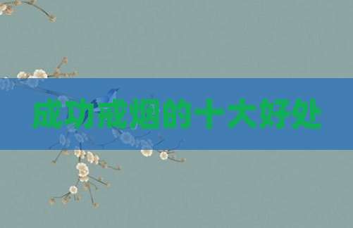 成功戒烟的十大好处