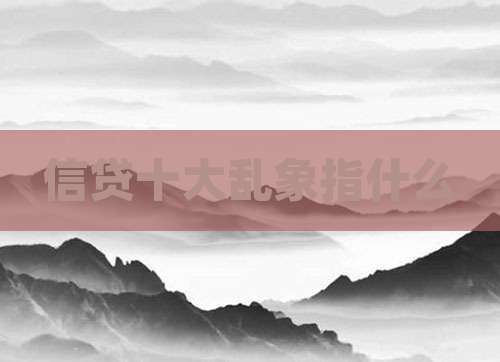 信贷十大乱象指什么