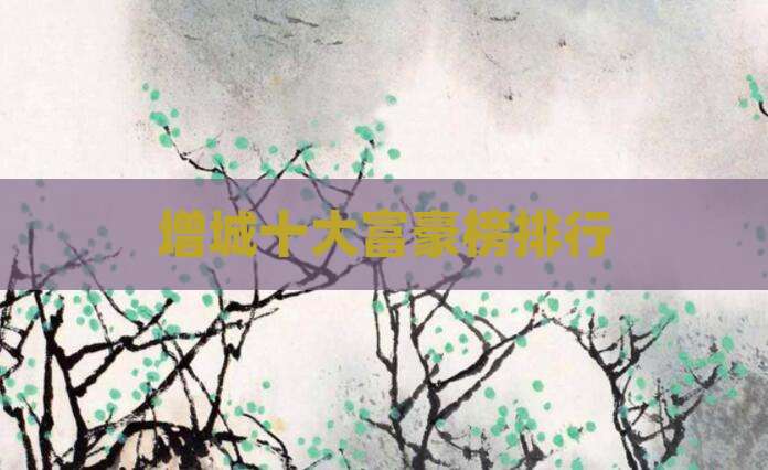 增城十大富豪榜排行