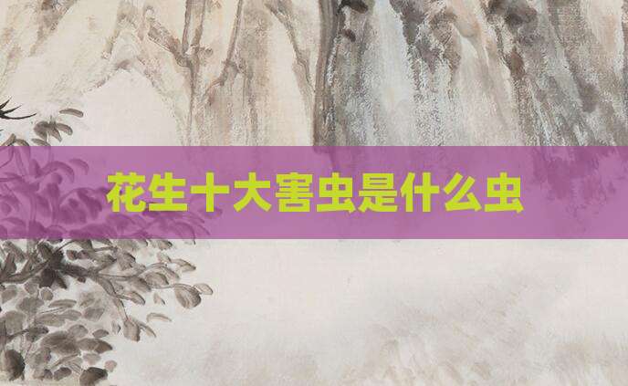 花生十大害虫是什么虫