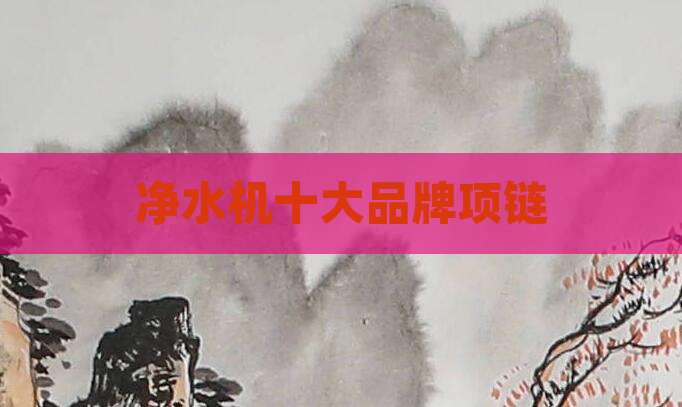 净水机十大品牌项链
