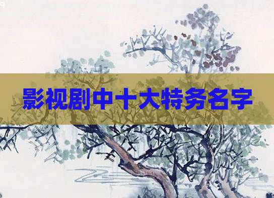 影视剧中十大特务名字