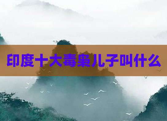 印度十大毒枭儿子叫什么