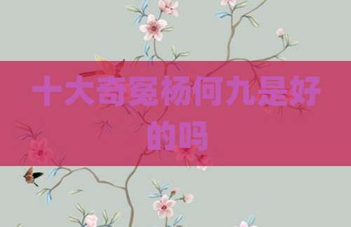 十大奇冤杨何九是好的吗