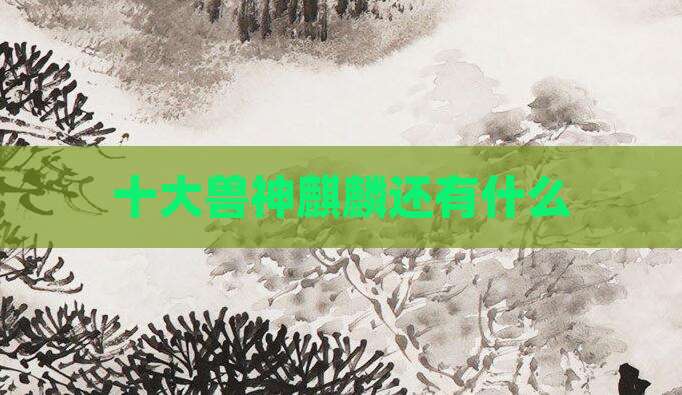 十大兽神麒麟还有什么