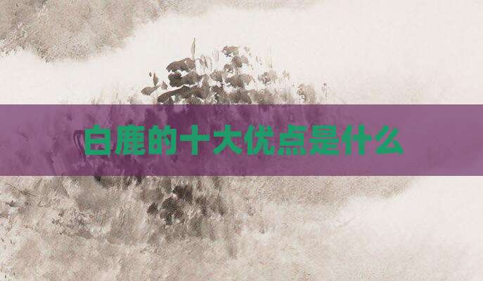 白鹿的十大优点是什么