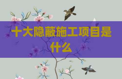 十大隐蔽施工项目是什么
