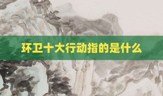 环卫十大行动指的是什么
