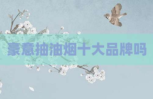 豪意抽油烟十大品牌吗