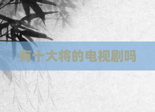 有十大将的电视剧吗