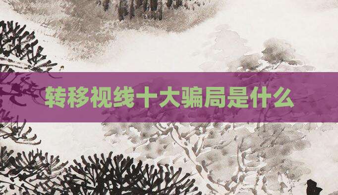 转移视线十大骗局是什么