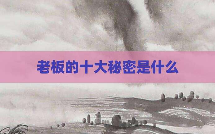 老板的十大秘密是什么