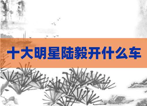 十大明星陆毅开什么车