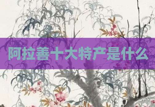 阿拉善十大特产是什么
