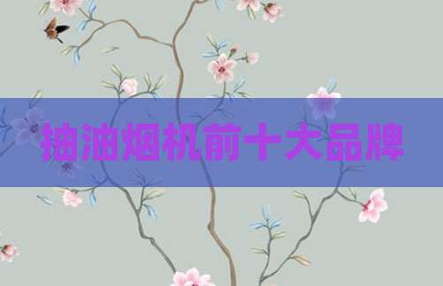 抽油烟机前十大品牌