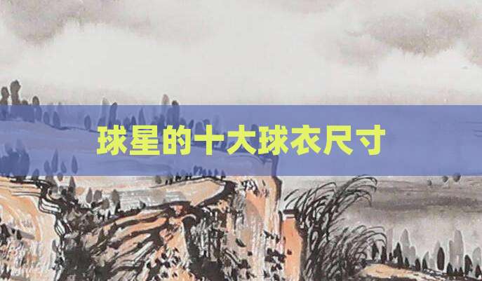 球星的十大球衣尺寸
