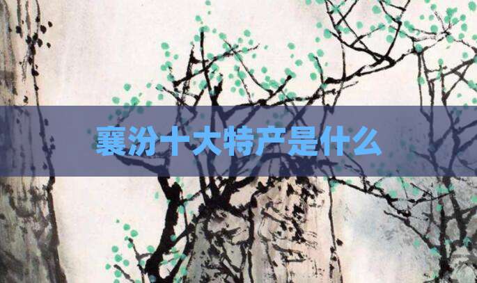 襄汾十大特产是什么
