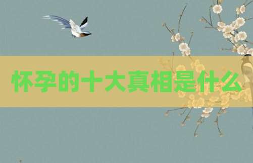 怀孕的十大真相是什么