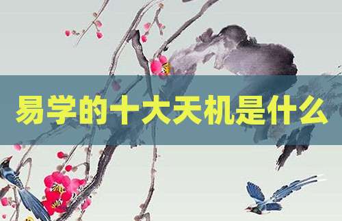 易学的十大天机是什么
