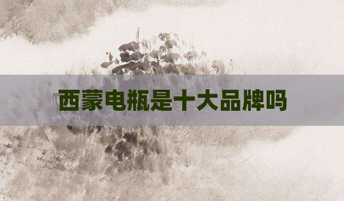 西蒙电瓶是十大品牌吗