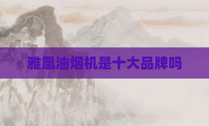 雅凰油烟机是十大品牌吗