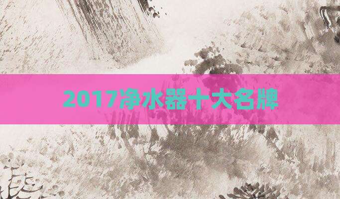 2017净水器十大名牌