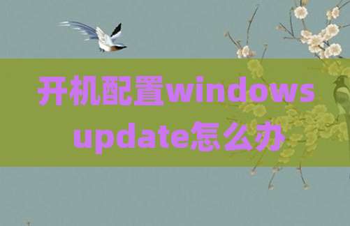 开机配置windows update怎么办