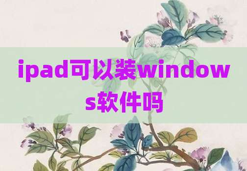 ipad可以装windows软件吗