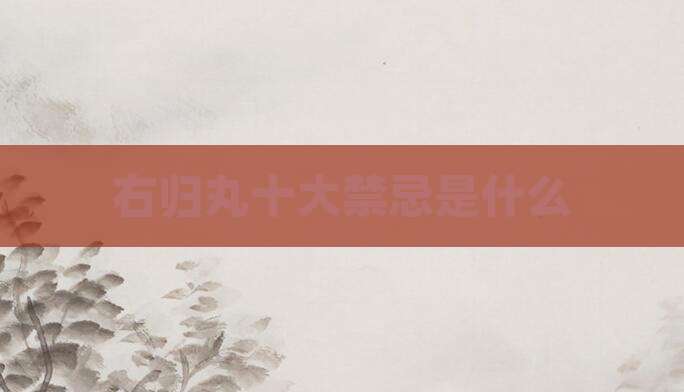 右归丸十大禁忌是什么