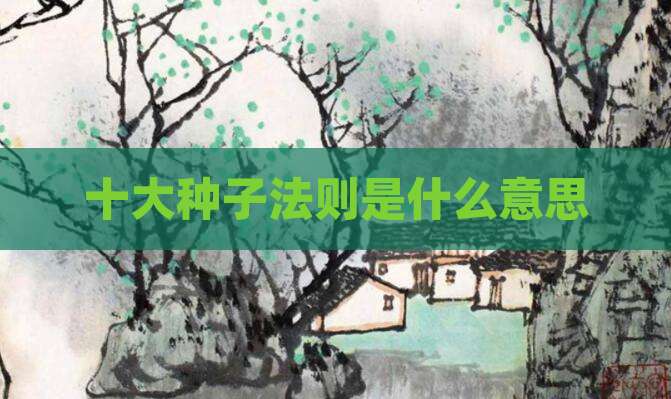 十大种子法则是什么意思