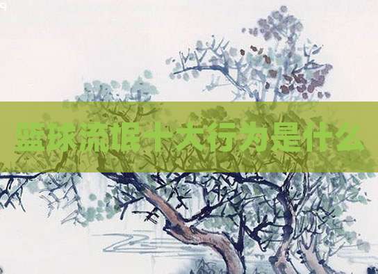 篮球流氓十大行为是什么