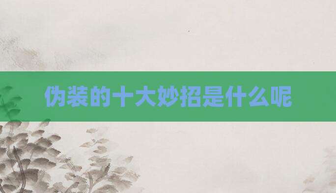 伪装的十大妙招是什么呢