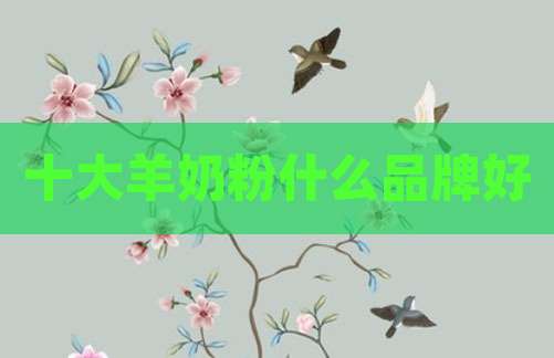 十大羊奶粉什么品牌好