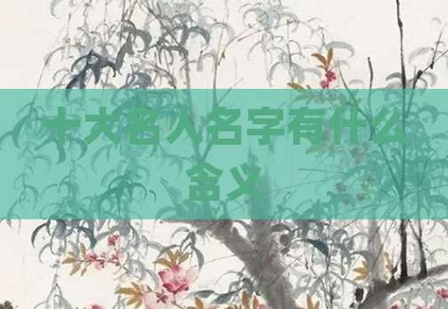 十大名人名字有什么含义