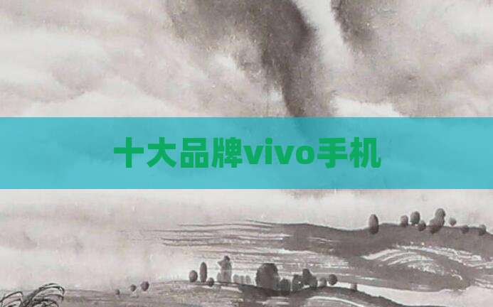 十大品牌vivo手机