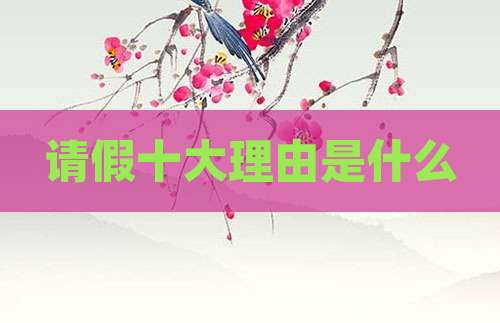 请假十大理由是什么