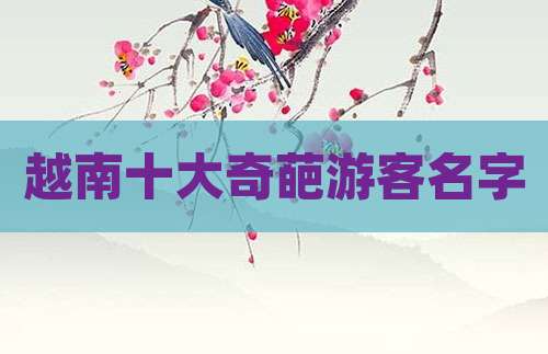 越南十大奇葩游客名字
