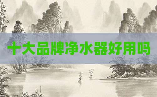 十大品牌净水器好用吗