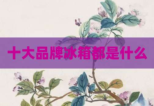 十大品牌冰箱都是什么