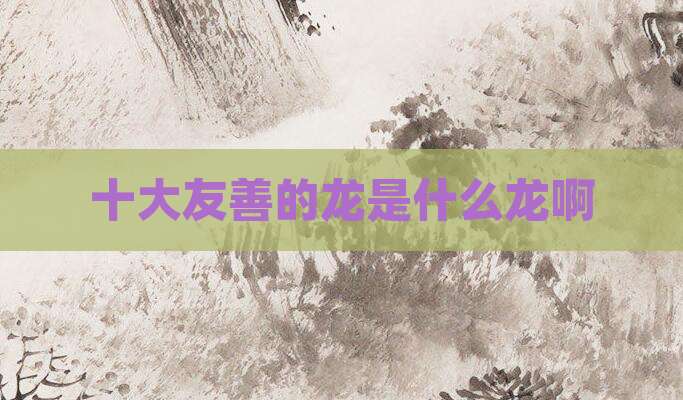 十大友善的龙是什么龙啊