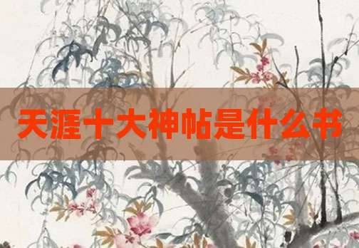 天涯十大神帖是什么书