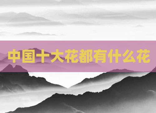 中国十大花都有什么花