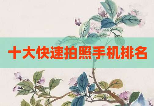 十大快速拍照手机排名